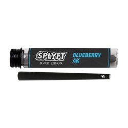 Buy SPLYFT Black Edition Cannabis Terpene Infused Cones – Blueberry AK | Express Highs UK