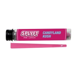 Buy SPLYFT Pink Edition Cannabis Terpene Infused Cones – Candyland Kush | Express Highs UK