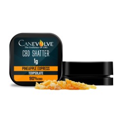 Buy Canevolve 900mg CBD Shatter 1g | Express Highs UK