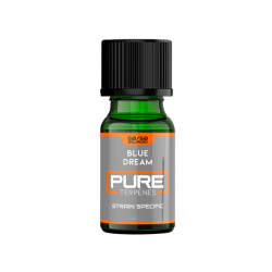 Buy UK Flavour Pure Terpenes Balanced - 5ml | Express Highs UK