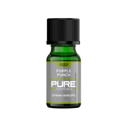 Buy UK Flavour Pure Terpenes Indica - 5ml | Express Highs UK