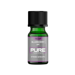 Buy UK Flavour Pure Terpenes Sativa - 2.5ml | Express Highs UK