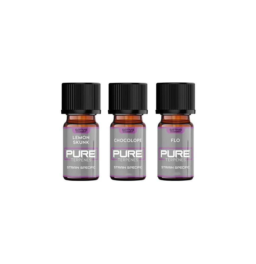 UK Flavour Pure Terpenes Sativa - 5ml