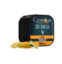 Canevolve 99% CBD Shatter - 1g