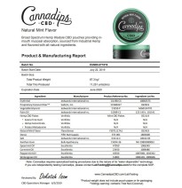Cannadips 150mg CBD Snus Pouches - Natural Mint