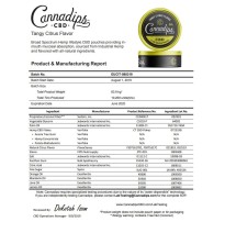Cannadips 150mg CBD Snus Pouches - Tangy Citrus
