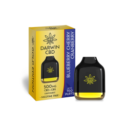 Buy Darwin 500mg CBD + CBG Cube Disposable 700 Puffs | Express Highs UK