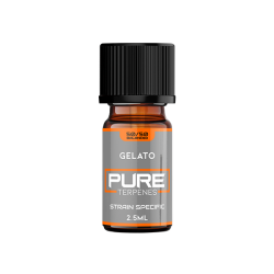 Buy UK Flavour Pure Terpenes Balanced - 5ml | Express Highs UK
