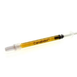 Buy CBD by British Cannabis 500mg CBD Cannabis Extract Syringe 1ml | Express Highs UK