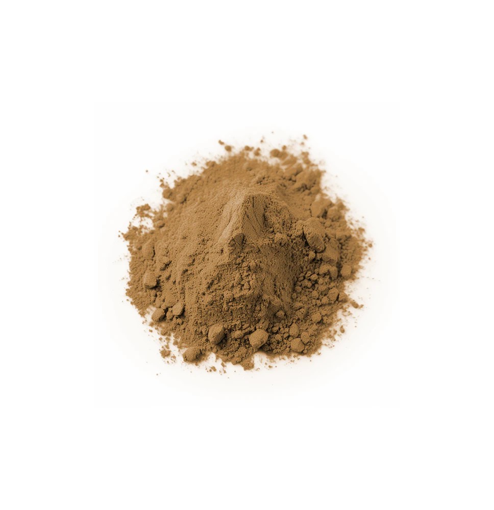 Bulk Maitake Mushroom Powder Wholesale UK