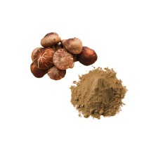Bulk Shiitake Mushroom Powder Wholesale UK