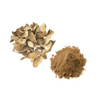 Bulk Oyster Mushroom Powder Wholesale UK