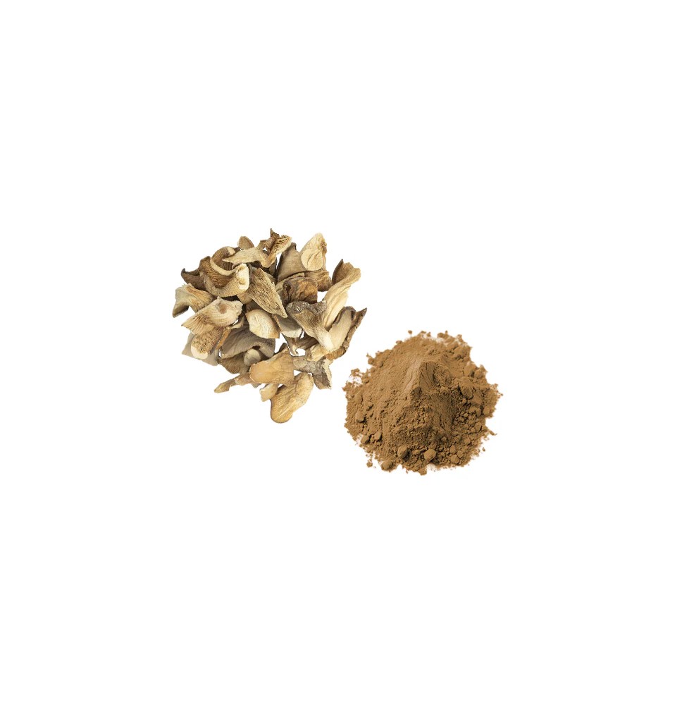 Bulk Oyster Mushroom Powder Wholesale UK