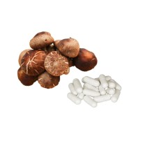 Bulk Pure 500mg Shiitake Mushroom Capsules Wholesale UK