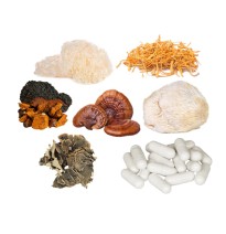 Bulk Mushroom Complex Capsules Wholesale UK