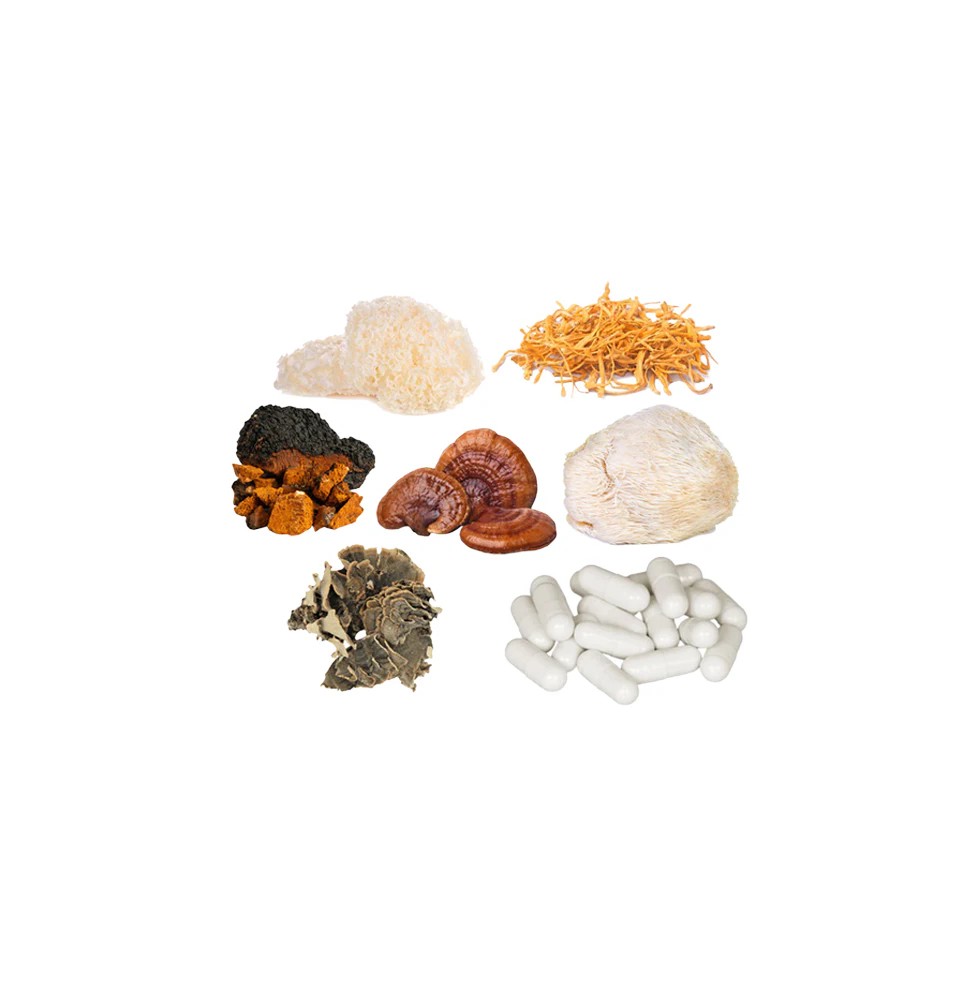 Bulk Mushroom Complex Capsules Wholesale UK