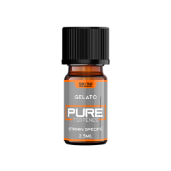 Buy UK Flavour Pure Terpenes Balanced 2.5ml | Express Highs UK