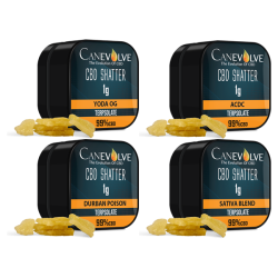 Buy Canevolve 99% CBD Shatter - 1g | Express Highs UK