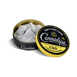 Buy Cannadips 150mg CBD Snus Pouches - Tangy Citrus | Express Highs UK