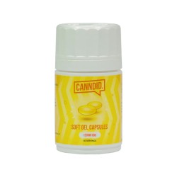 Buy Canndid 1250mg CBD Capsules - 50 Caps | Express Highs UK