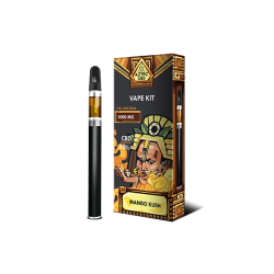 Buy Aztec CBD 1000mg Vape Kit - 1ml | Express Highs UK