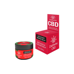 Buy Darwin CBD 500mg Hot Black Pepper Balm - 10ml | Express Highs UK