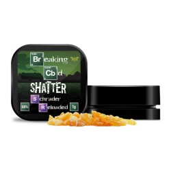 Buy Breaking CBD 98% CBD Shatter - 1g | Express Highs UK