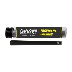 Buy SPLYFT Black Edition Cannabis Terpene Infused Cones – Tropicana Cookies | Express Highs UK