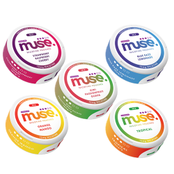 Buy 12mg Muse Nicotine Pouches - 20 Pouches | Express Highs UK