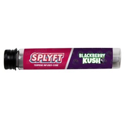 Buy SPLYFT Cannabis Terpene Infused Rolling Cones – Blackberry Kush | Express Highs UK